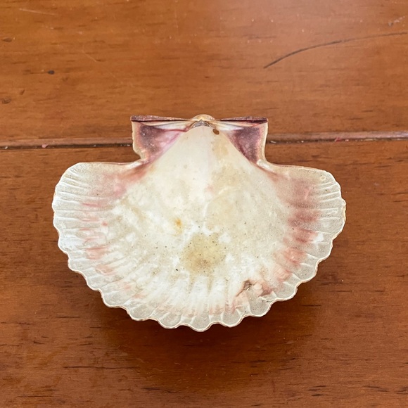 Shell - Picture 2 of 3